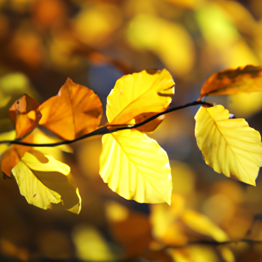 heets yellow